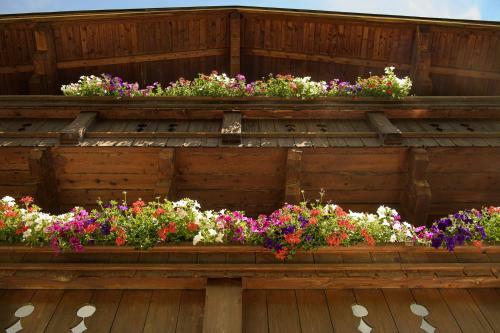 Apartamento Alpen-nest Gro�arl