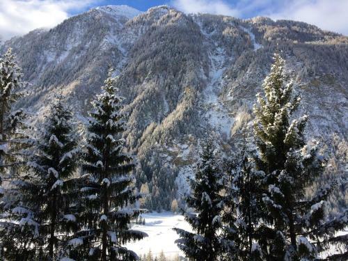 Apartamento Berghaus Glockner, App. Niedermeyer