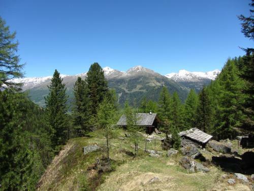 Apartamento Berghaus Glockner, App. Niedermeyer
