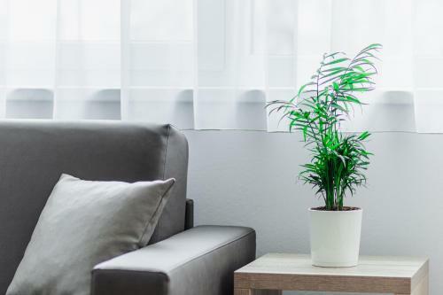 Apartamento Albert Schweitzer Center Graz