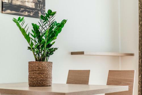 Apartamento Albert Schweitzer Center Graz