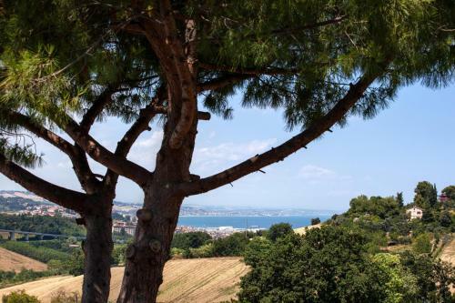 Agroturismo Fiori Del Conero