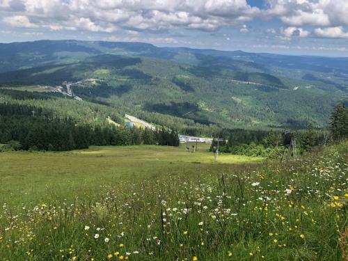 Hojsova Str�? Br?�ln�k Apartm�n Za Bukem