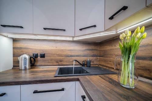Apartm�n U ?eky