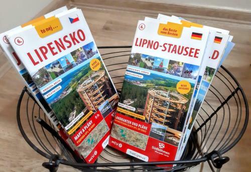 Vivat Lipno! - Lake View Apartment