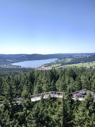 Apartm�n Laura, Frymburk
