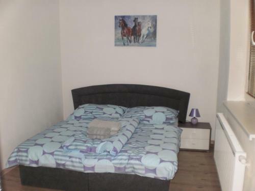 Apartm�ny Eva Frymburk