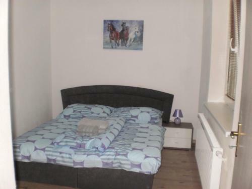 Apartm�ny Eva Frymburk