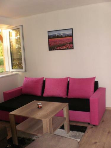 Apartm�ny Eva Frymburk