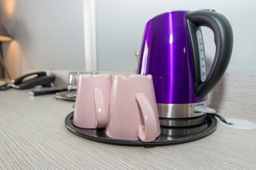 Violet Apartment Frymburk