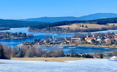 Apartm�ny Wellness Frymburk