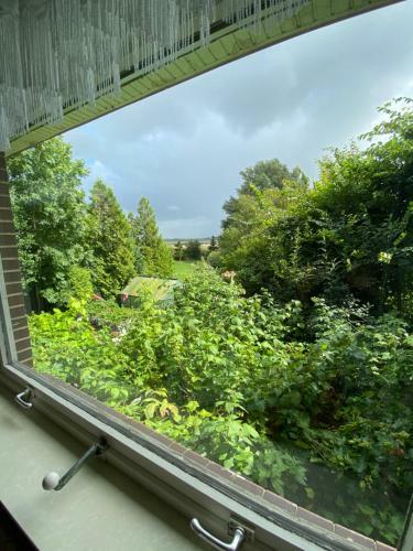 Apartamento Haus Dres Ferienwohnung 1 Und 2