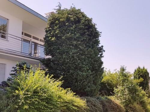 Apartamento Die Ferienwohnung