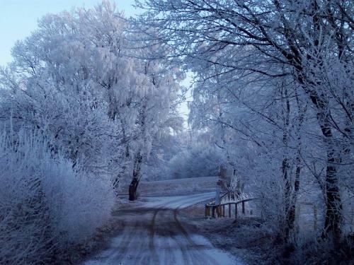 Apartamento Ferienwohnung Am Klosterberg 6