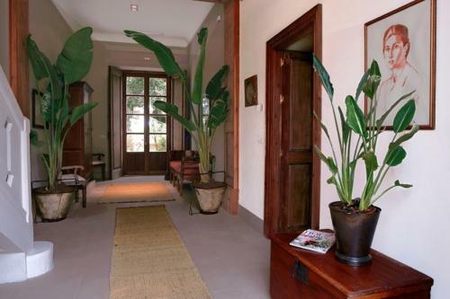 Hotel Casa Vi�a De Alc�ntara