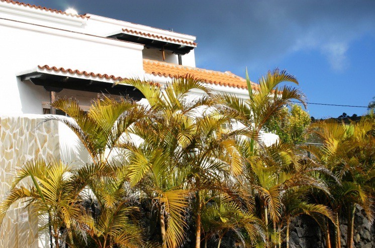 Apartamentos Y Bungalows Finca Col�n