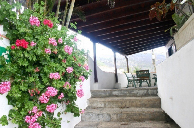 Apartamentos Y Bungalows Finca Col�n