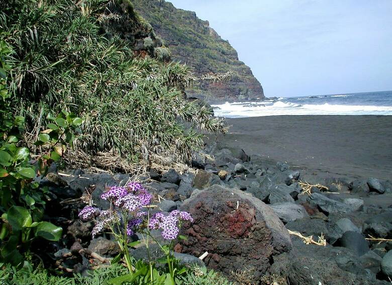 Apartamento La Palma Sun Nudist