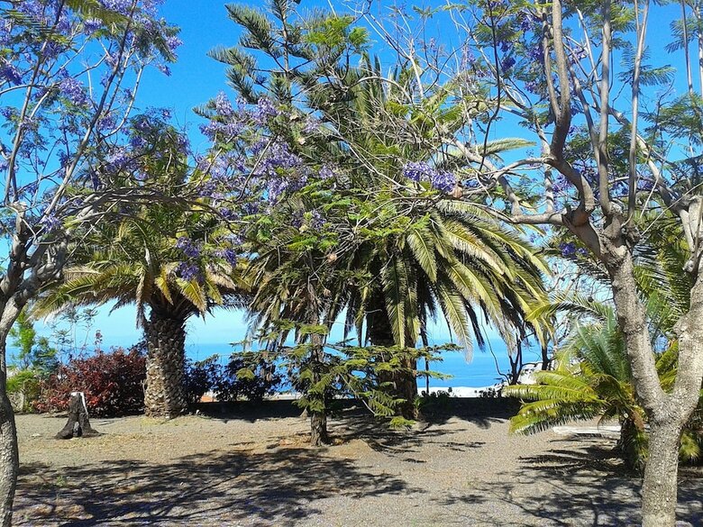 Apartamento La Palma Sun Nudist