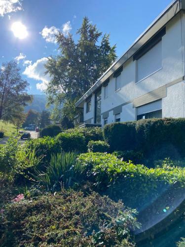 Apartamento Ferienwohnung Am Br�hl Mit Terrasse Und Garten