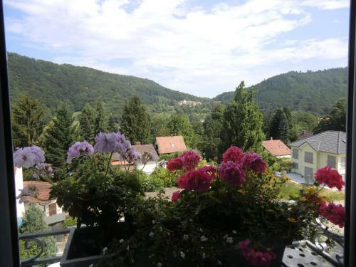 Hostal Haus Marija M