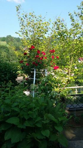 Apartamento Fewo Zum Alten Bergdoktor