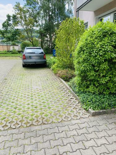 Drei Zimmer Apartment Am Rhein