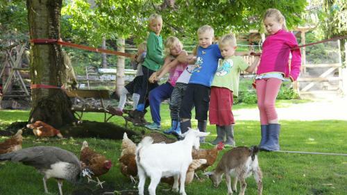 Harzer Feriengarten 5*****