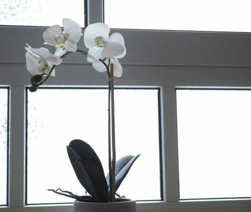 Apartamento Vier Jahreszeiten