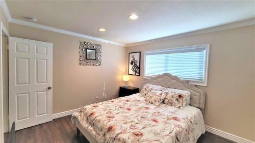 California Palm Tree Oasis - True Socal Experience