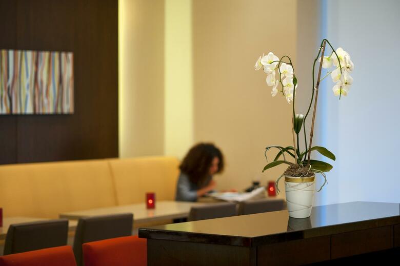 Hotel Hilton Montreal Bonaventure