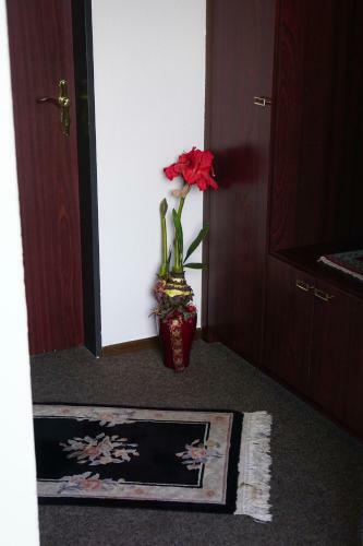 Apartamento Ferienwohnung Altenau