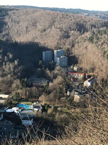 Apartamento Waldblick - Bad Harzburg