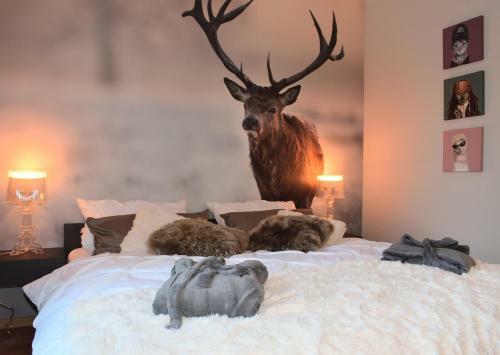 Apartamento Echt-harz-fewo