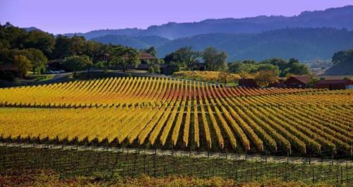 Apartamento Spectacular Stay At Silverado In Napa