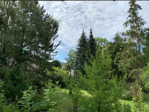 Apartamento Appartement An Der Radau