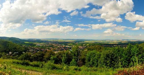 Apartamento Ferienwohnung Harzmonie