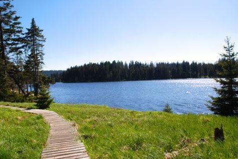 Apartamento Ferienwohnung P�ttner / Bad Harzburg