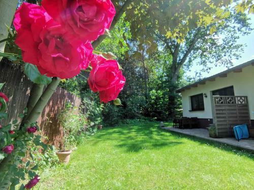 Apartment Waldblick Vom Naturhof Usedom