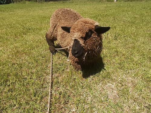 Apartamento Posada De Campo La Amada