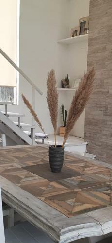 Family House Los Cuatro Robles