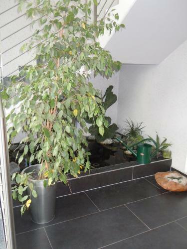 Allg�uhotel Memmingen Nord