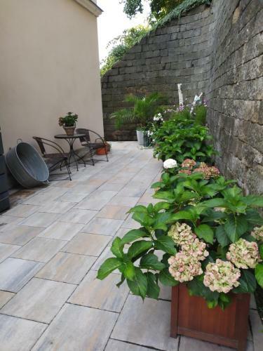 Apartamento Ferienwohnungen Wilhelm