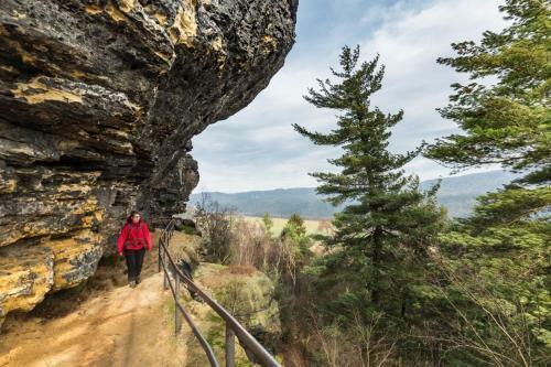 Apartamento Ferienwohnungen Schrot