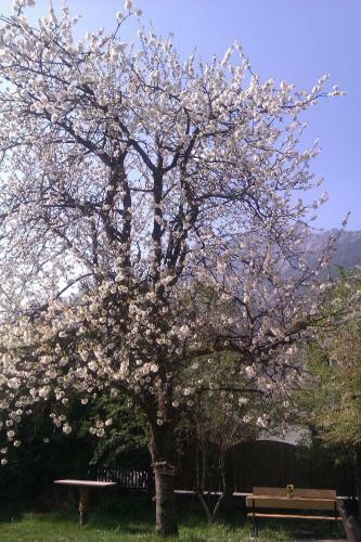 Apartamento Eva's Ferienwohnungen