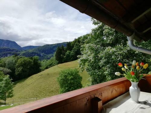 Apartamento Landhaus Heisenbauer