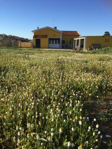 Hostal Villa & Spa L'escale Au Portugal