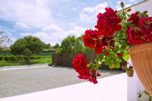Casal Do G�is Guest House