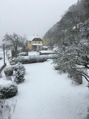 Apartamento Ferienhaus Elbufer 83