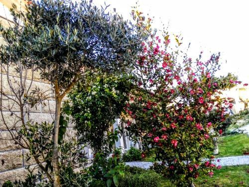 Bed & Breakfast Casa Vale Do Rio Ovil